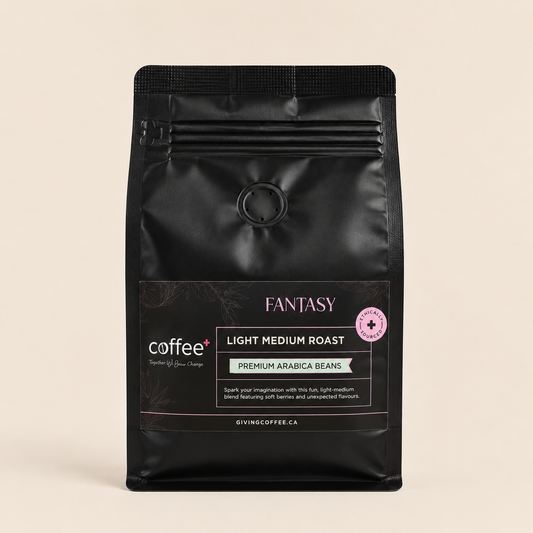 A black stand-up coffee bag labeled 'FANTASY' and 'coffee+' with 'LIGHT MEDIUM ROAST' and 'PREMIUM ARABICA BEANS' on a warm beige background.